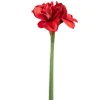 Amaryllis 55cm rot AUTENTICO*LEONARDO Discount