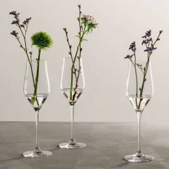 Champagnerglas BRUNELLI 340 ml 6er-Set*LEONARDO