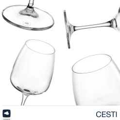 Glasset CESTI 8-teilig + Poliertuch*LEONARDO