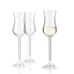 Grappaglas DAILY 100 ml 6er-Set*LEONARDO New