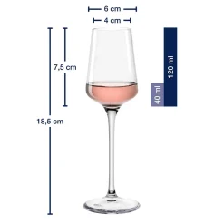 Grappaglas PUCCINI 120 ml 6er-Set*LEONARDO Discount