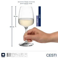 Kelchglasset CESTI 12-teilig + Poliertuch*LEONARDO Online