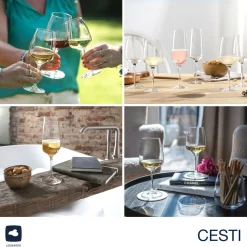 Kelchglasset CESTI 12-teilig + Poliertuch*LEONARDO Online