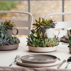 Keramiktasse ROMA 400 ml creme 6er-Set*LEONARDO New