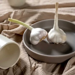 Keramikteller ROMA 20 cm beige tief 6er-Set*LEONARDO Outlet