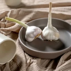 Keramikteller ROMA 20 cm taupe tief 6er-Set*LEONARDO Sale