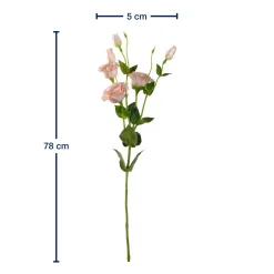 Lysianthus FIORE 78 cm apricot*LEONARDO