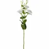 Lysianthus FIORE 78 cm weiß*LEONARDO Outlet