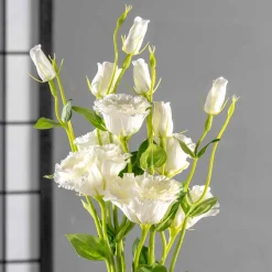 Lysianthus FIORE 78 cm weiß*LEONARDO Outlet