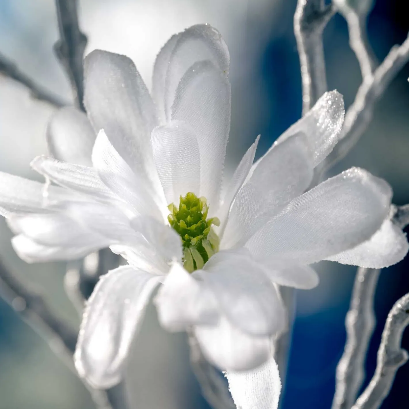 Magnolie 60cm weiß PALAZZO*LEONARDO Best