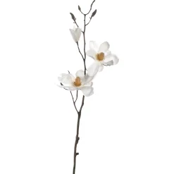 Magnolie VERNAZZA 80 cm weiß*LEONARDO Outlet