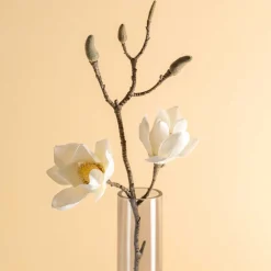 Magnolie VERNAZZA 80 cm weiß*LEONARDO Outlet