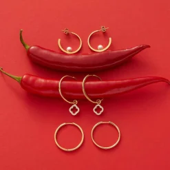 Ohrstecker LUCINDA gold*LEONARDO Hot