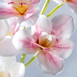 Orchidee FIORE 90 cm pink*LEONARDO Best