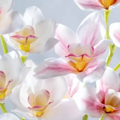 Orchidee FIORE 90 cm pink*LEONARDO Best