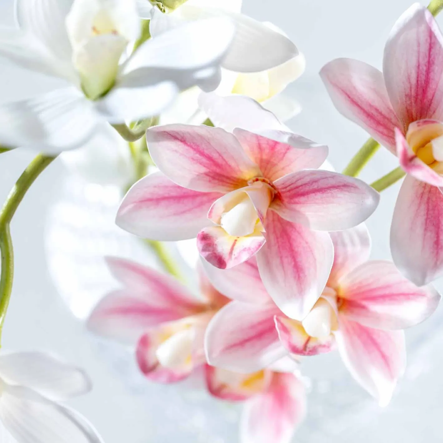 Orchidee FIORE 76 cm pink*LEONARDO New