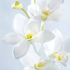 Orchidee FIORE 76 cm weiß*LEONARDO Online