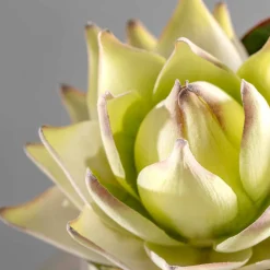 Prothea FIORE 56 cm weiß*LEONARDO New