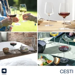 Rotweinglas CESTI 500 ml 6er-Set + Poliertuch*LEONARDO New