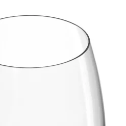 Rotweinglas DAILY 460 ml 6er-Set*LEONARDO Sale