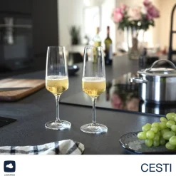 Sektglas CESTI 240 ml 6er-Set + Poliertuch*LEONARDO Online