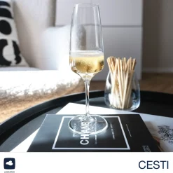 Sektglas CESTI 240 ml 6er-Set + Poliertuch*LEONARDO Online