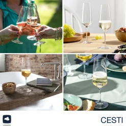 Sektglas CESTI 240 ml 6er-Set + Poliertuch*LEONARDO Online