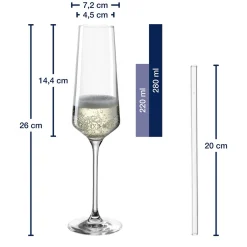 Sektglas Geschenkset PUCCINI 5-teilig 280 ml*LEONARDO Online
