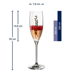 Sektglas POESIA 250 ml grau 6er-Set*LEONARDO Hot