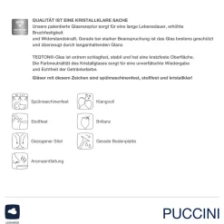 Sektglas PUCCINI 280 ml 6er-Set*LEONARDO