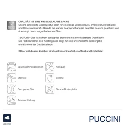 Sektglas PUCCINI 280 ml gold 2er-Set*LEONARDO Best