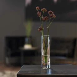 Solifleurvase NOVARA 17 cm*LEONARDO