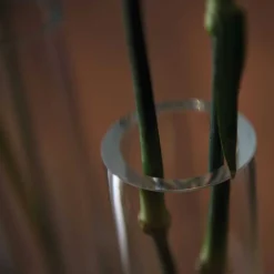 Solifleurvase NOVARA 30 cm satiniert*LEONARDO