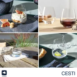 Trinkglas CESTI 460 ml 6er-Set + Poliertuch*LEONARDO Discount