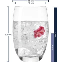 Trinkglas CHEERS 460 ml 6er-Set*LEONARDO Clearance