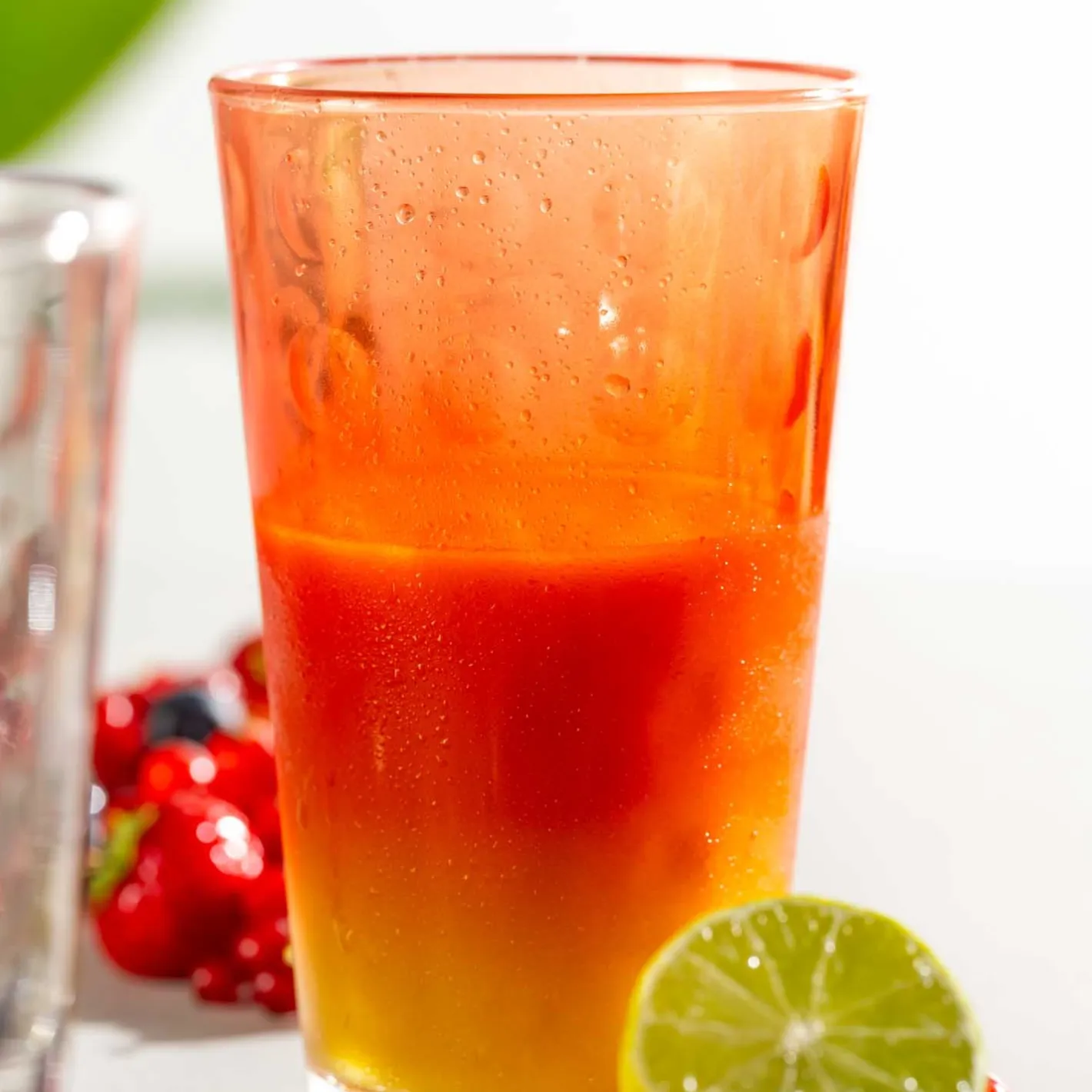 Trinkglas OPTIC 540 ml 4er-Set*LEONARDO Clearance