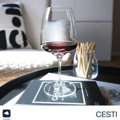 Weinset CESTI 3-teilig + Poliertuch*LEONARDO
