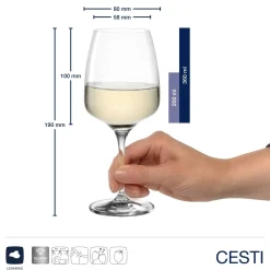 Weißweinglas CESTI 360 ml 6er-Set + Poliertuch*LEONARDO Hot