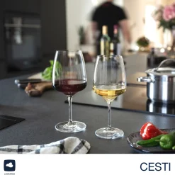 Weißweinglas CESTI 360 ml 6er-Set + Poliertuch*LEONARDO Hot