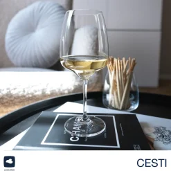Weißweinglas CESTI 360 ml 6er-Set + Poliertuch*LEONARDO Hot