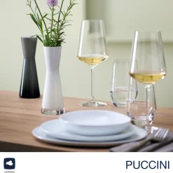 Weißweinglas PUCCINI 560 ml 6er-Set + Poliertuch*LEONARDO Outlet