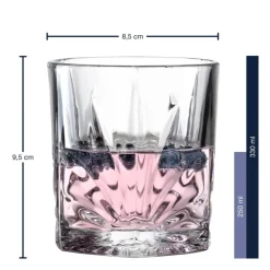 Whiskybecher DOF CAPRI 330 ml 2er-Set mit 8 Kühlsteinen*LEONARDO Hot