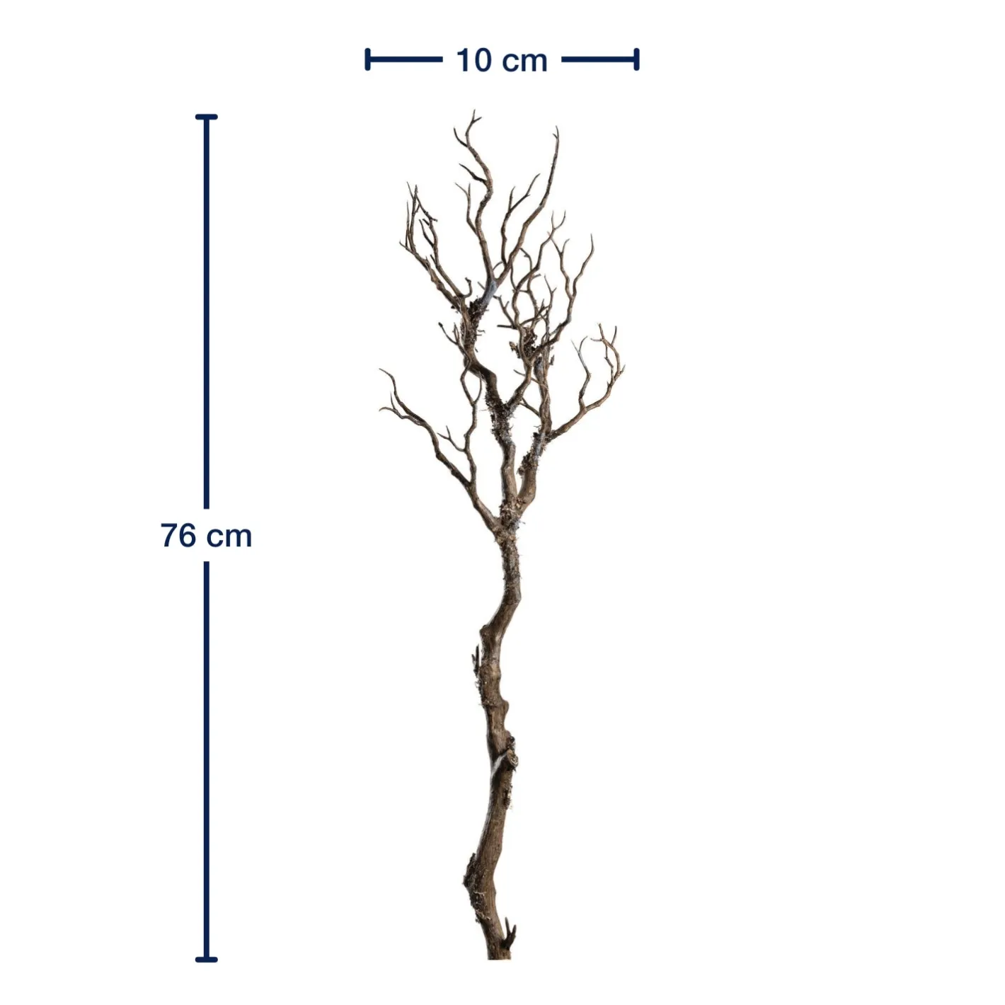 Zweig FIORE 76 cm braun*LEONARDO Hot